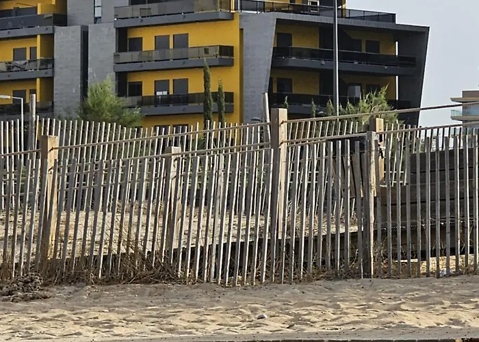 Paraiso Forte Novo